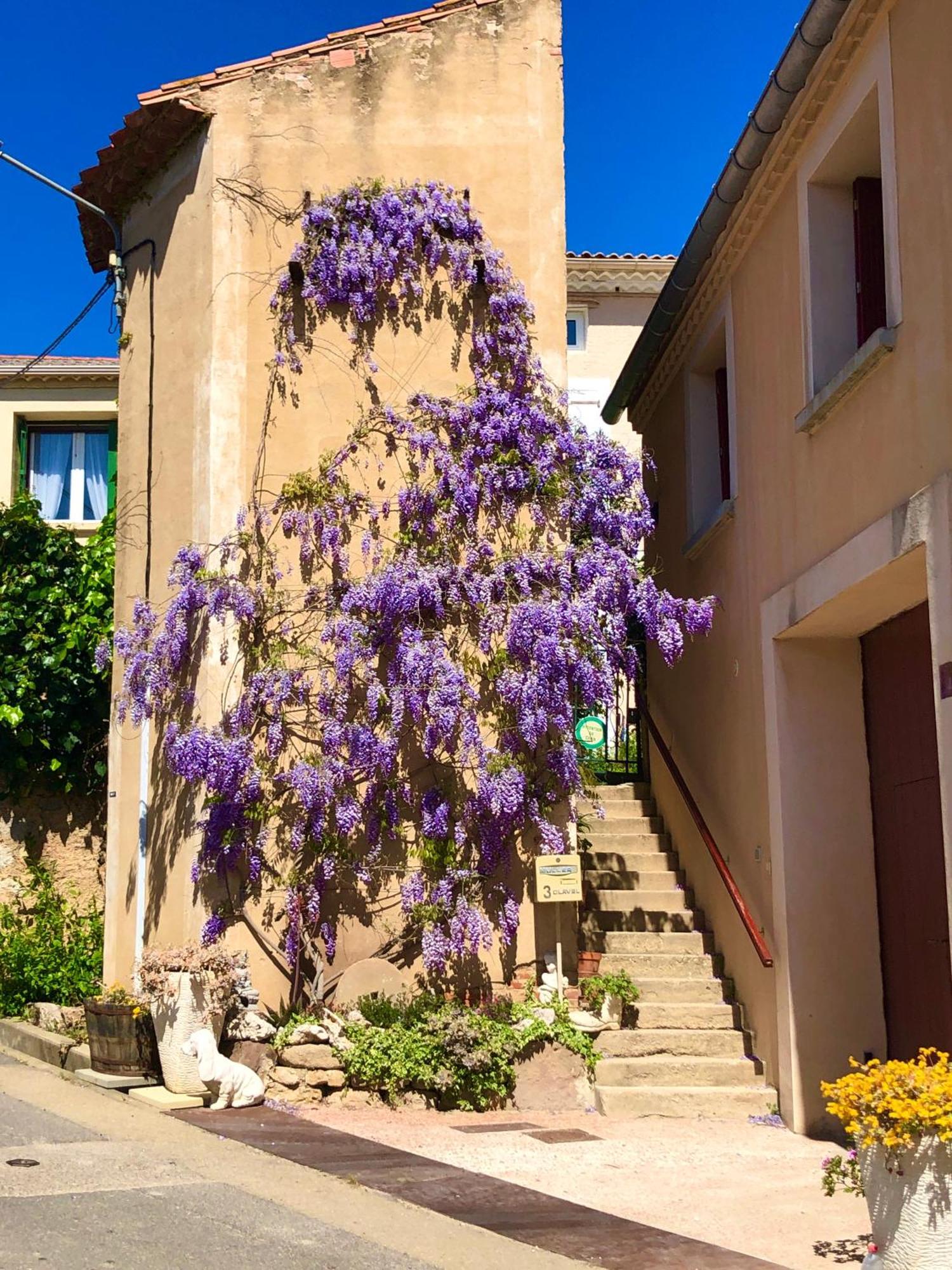 Maison Du Midi, 2 Gites De Charme Ginestas Exterior foto